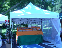 Colestin Caprines Goat Milk Soap booth - Ashland July 4th, 2010