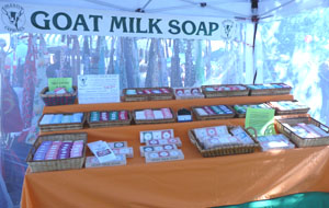 Colestin Caprines Goat Milk Soap booth at the Montague Balloon Faire 2010