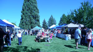 The Montague Balloon Faire craft market, 2010