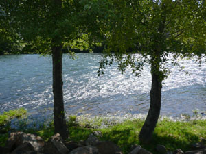 The Rogue River - River Art Walk, Shady Cove, 2011